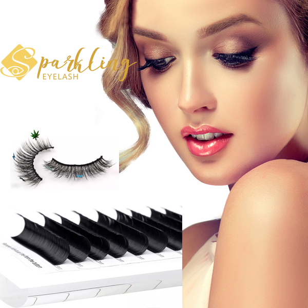 Kang luwih apik, Strip lashes utawa ekstensi bulu mata?